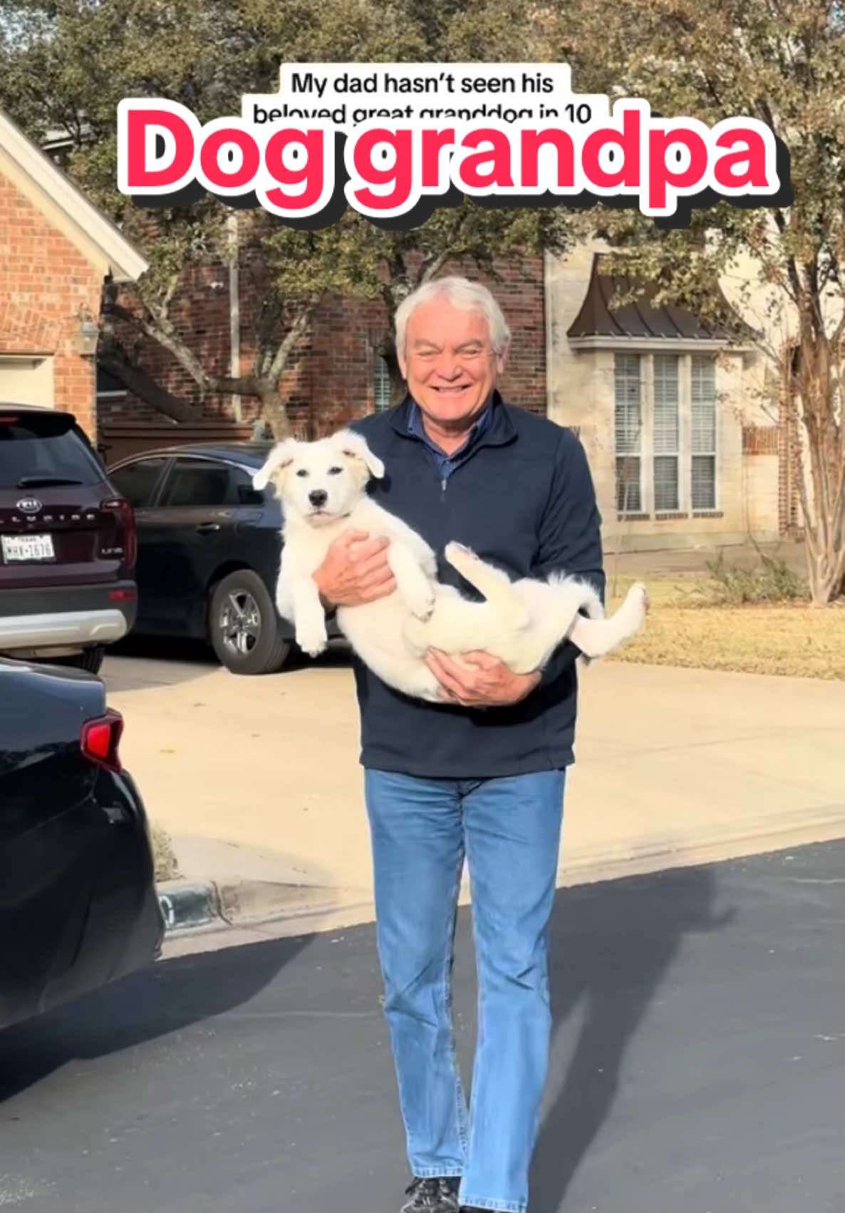 #onthisday GG loves his granddog so much 😂😍 @Brooklynn Scott @dougstevens56  #dogtok #dogsoftiktok #dogmom #doggrandparents 