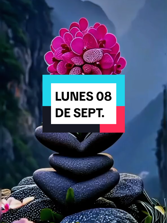 #parati #Mensajes y Motivación #Lunes 08 de Septiembre #Buenos Días #Gracias Dios por una nueva semana , que te vaya bien durante toda la semana 🙏❤️