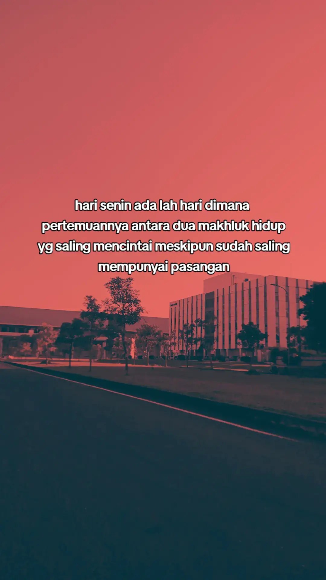 #fyp #fypage #giniogilgasahid 