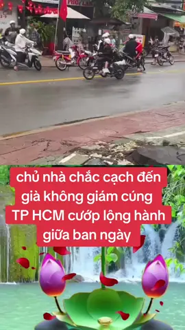 #duet cùng @xinh nguyễn2002 #côhồntháng7 