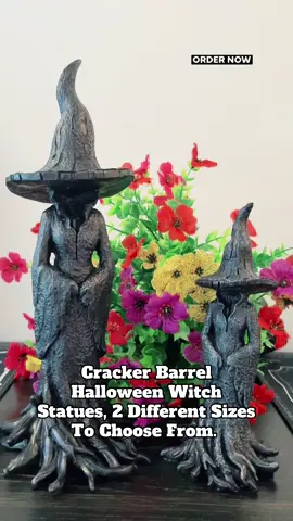 #witchythings #witchvibes #statues #halloweenvibes #spookyszn 