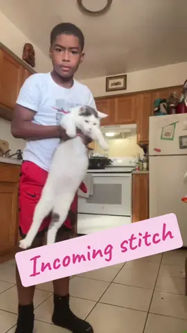 #stitch with @I can ting I knew he was doing something to baby cat she don’t just be messing with nobody. #catsmoves #cattok #myson 