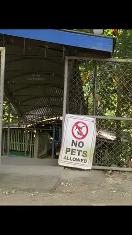#nopetsallowed 