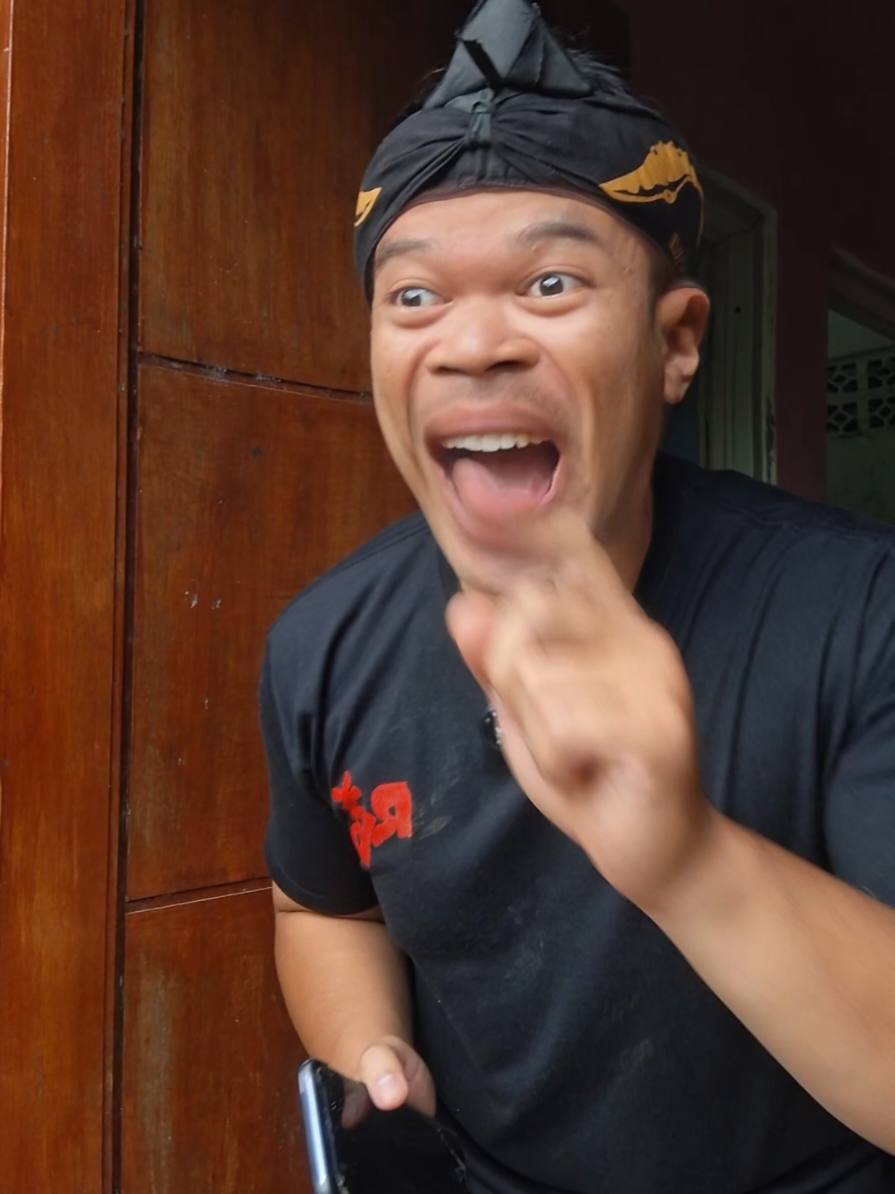 kucing joget