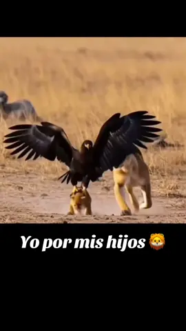 Yo por mis hijos  #jenniferhernandez0729 #viral#foryou #fyp #leo 