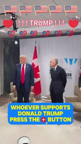 #ymca #dance #trump #usa #usatiktok    