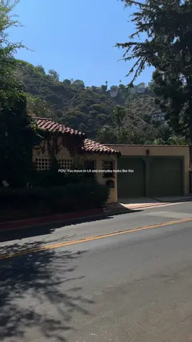 LA may not solve all your issues, but you should check anyways 👀 #losangeles #fyp #hollywood #hollywoodhills #la 
