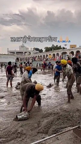 #punjab #flood #ravi #beas #satluj #floods #panjab #khet #khetibadi #pind #majha #malwa #savepeople #saveanimals #fyp #fy #fyppppppppppppppppppppppp #foryou #explore #foryoupage #fypage #viral