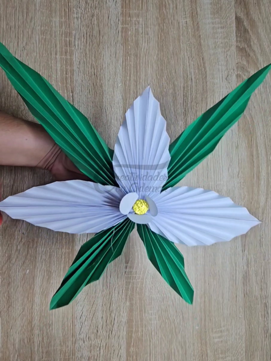 Monja Blanca Flor Nacional de Guatemala Manualidad hecha en papel#MonjaBlanca #OrgulloChapín #HechoAMano #ManualidadesPatrias #Guatemala Guatemala  @Creatividades con Ademar @Creatividades con Ademar 
