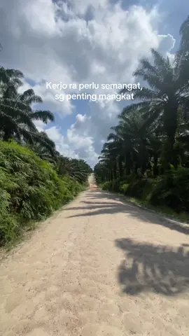 Dicopy pak#fyp #kalimantan #lewatberanda #sawitontiktok #fouryoupage 