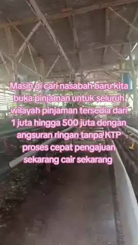 #pinjamanamanahterpercaya#pinjamantanpaktp#pinjamantanpajaminan#fyppppppppppppppppppppppp#fypシ゚