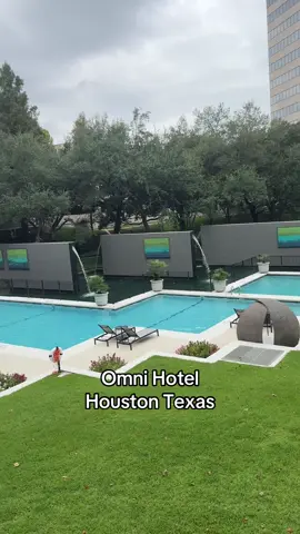 #thingstodoinhouston #omnihouston #blackswan #houston 
