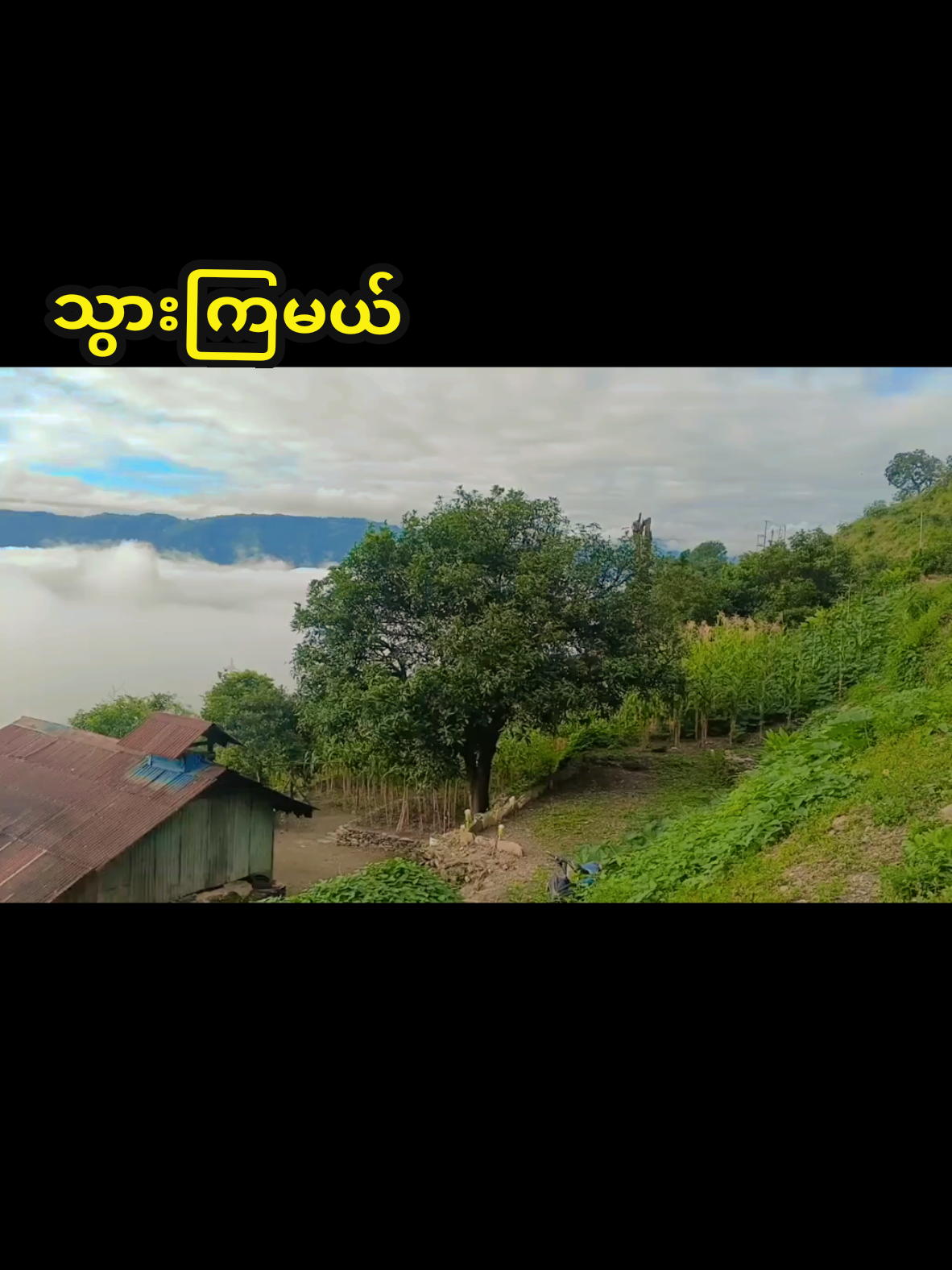 #တိမ်ပင်လည်ကိုသွားကြမယ်🖼 #ရူ့ခင်းလှလှလေး #အရမ်းလှတယ်ကွာ😊😊 
