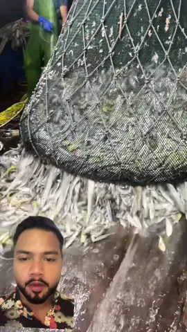 #greenscreenvideo 
