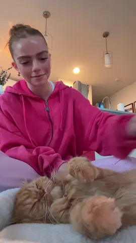 Both our favorite time of the day <3 #catmom #catsoftiktok #cattok 