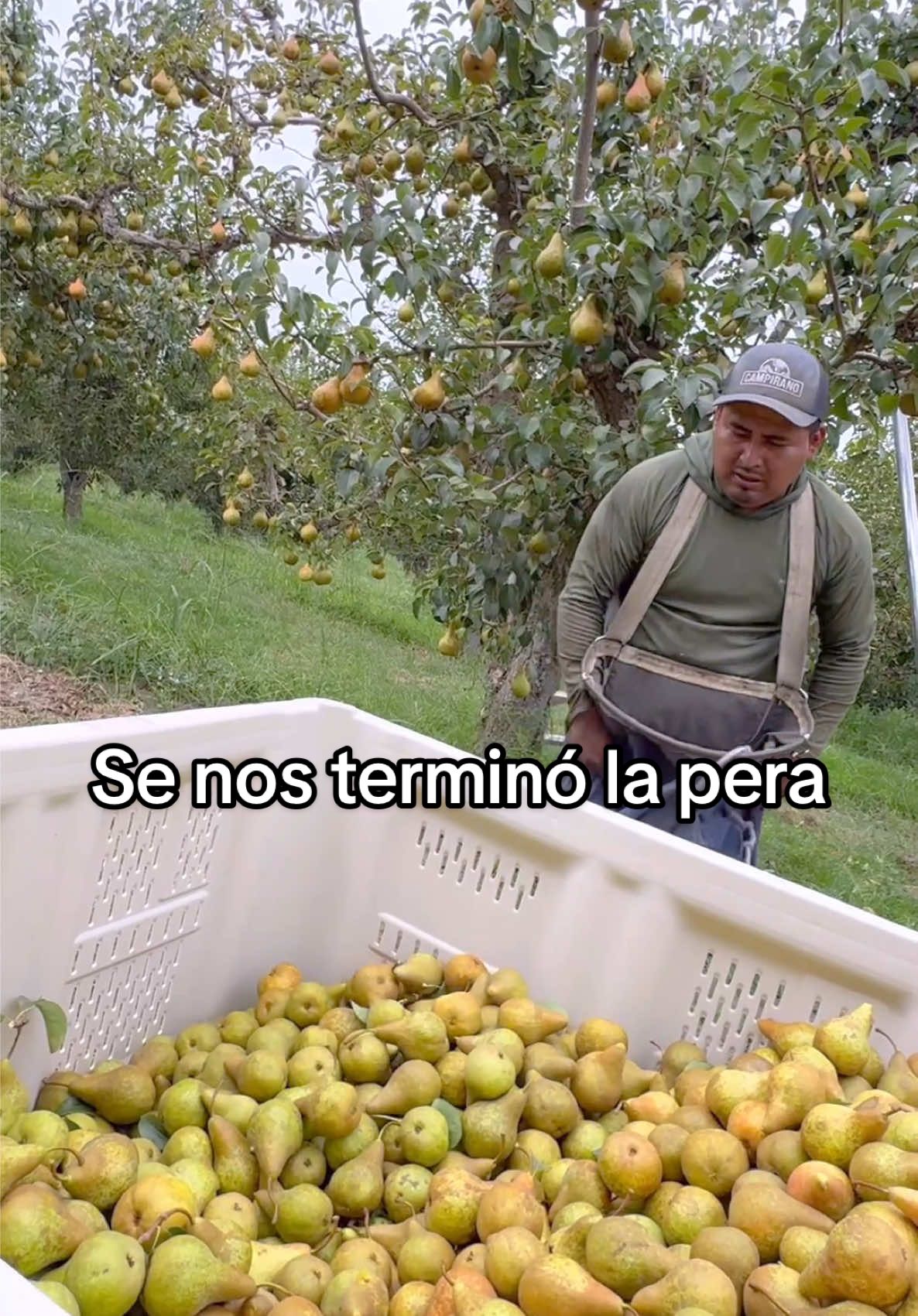 Toca buscar chamba para mañana #trabajo #usa🇺🇸 #farmlife #agriculture #mexicanos 