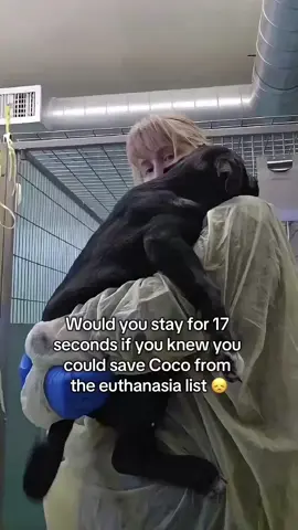 Even just a comment helps boost this video and saves our pups🥹🐾 #doglover #puppy #shelter #dogs #puppy 