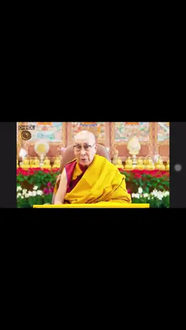 Tâm chỉ là tâm #gratefuluniverse #dalailama #nammoadidaphat #buddha #omtaretutareturesoha 