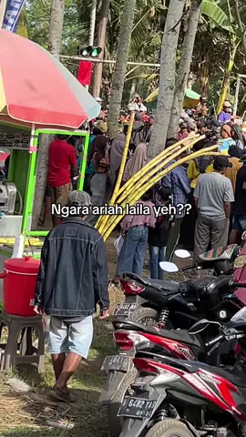 Anak en sapah yeh🤔#kerapansapilumajang #fyppppppppppppppppppppppp #kerapansapiprobolinggo 
