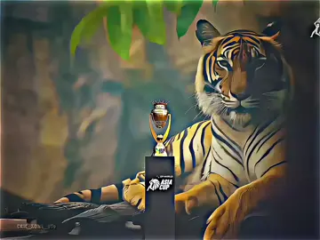 আমরা বিশ্বাস করি, তোমরাই আমাদের গর্ব! ❤️ এশিয়া কাপ ২০২৫-এ জয় হোক বাংলার। 🏆🔥 শুভ কামনা রইল মাতৃভূমির জন্য। 🇧🇩 #fyp_viral #viralvideo #foryoupage #500k_challenge #unfreezemyacount🥺 