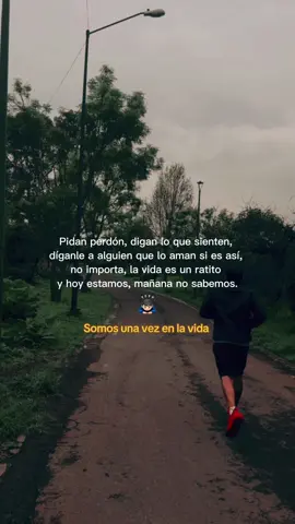 #somosunavezenlavida #vivecadamomento #Motivacional #reflexaododia vive al máximo 