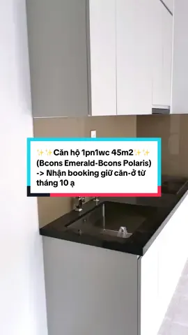 Cho Thuê Căn 1pn1wc 45m2 - rộng rãi - nhà mới - ở từ tháng 10 ạ🌻 #xuhuong #thuduc #bconsemerald #bconspolaris #chothuecanho 