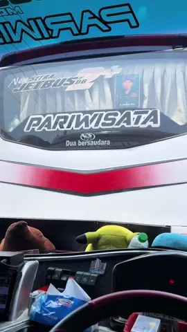 Crit😁#pariwisata #fypシ #busmania 