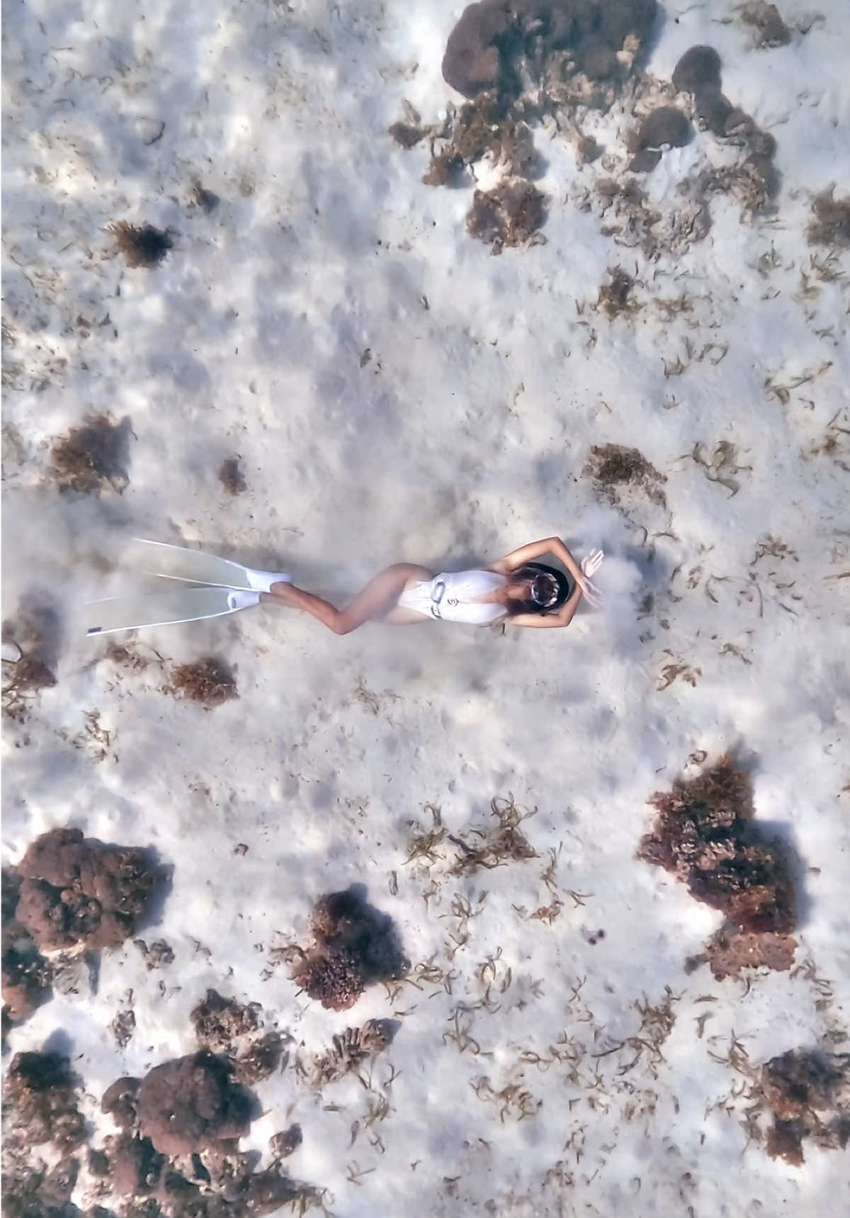 & pose >>  #freediver #freediving #awrafreediving #fypシ゚ #reels 