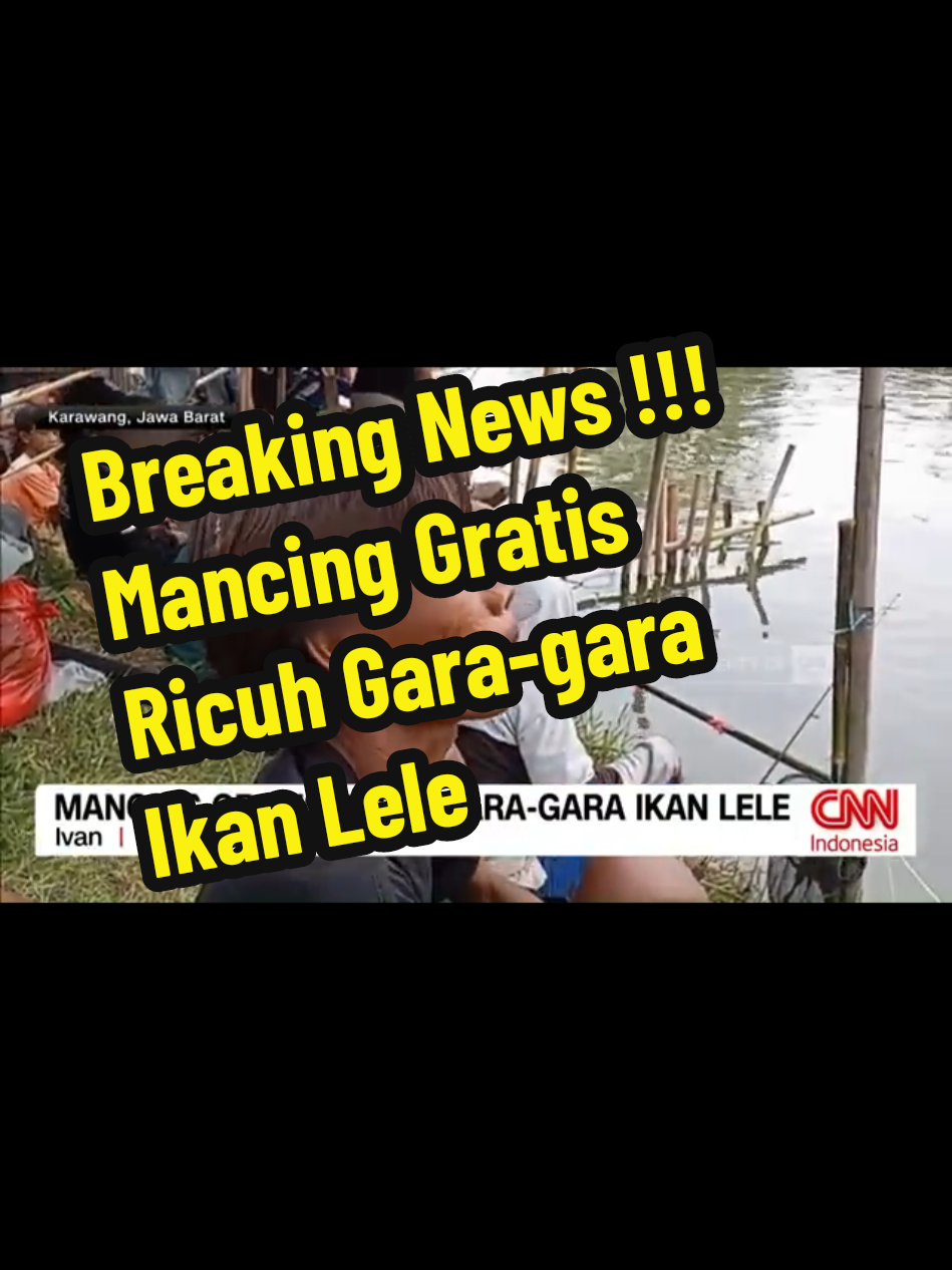 Kecewa ikan yang ditebar bukan ikan mas melainkan ikan lele, sejumlah peserta mancing gratis HUT Karawang, Jawa Barat, merusak lapak-lapak mancing mereka yang sudah didirikan sejak beberapa hari lalu. #mancing #ikan #viral #fyp #lele 