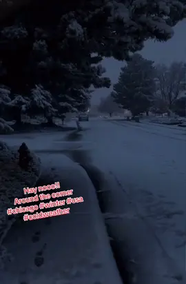 Cold Weather #chicago #coldweather #frozen #polarexpress #ice #usa🇺🇸 #fyp #2025 #paratii #viral #seasons #windy 