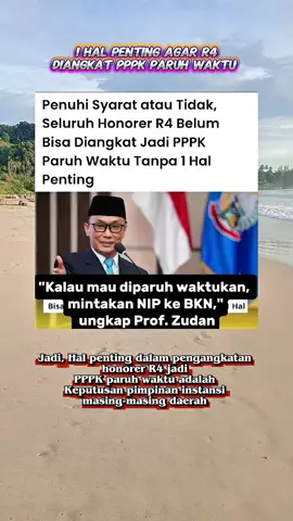 1 Hal yang penting agar R4 di angkat PPPK paruh waktu ❗  #infoasn #infoguru #infohonorer