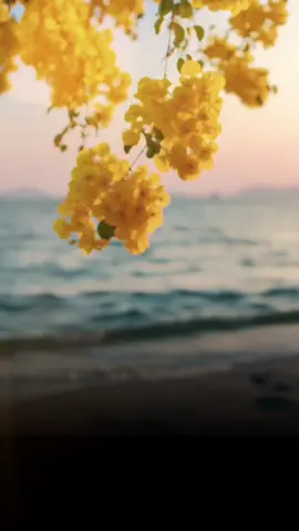 #صباح_الخير 