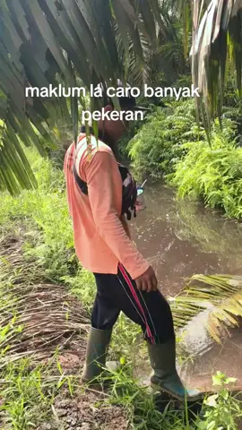 #fyp