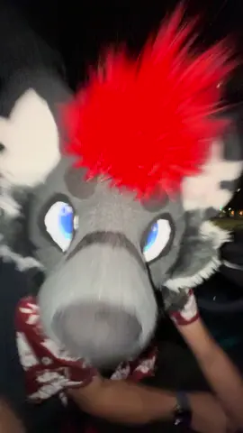 Out here in the Waymo with Sketch. #furry #fursuit #fursuiting #waymo 