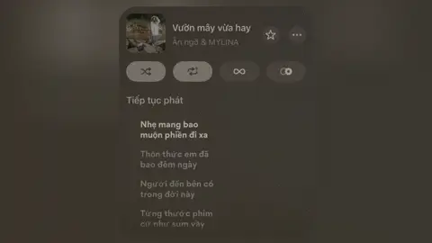 Thổn thức em đã bao đêm ngày…#vuonmayvuahay #lyrics #lofi #xuhuong #fyp 