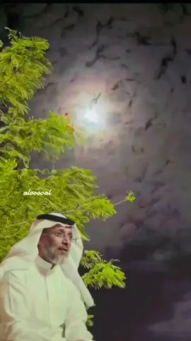 #اكسبلورexplore #مهذل_مهدي_الصقور_اليامي #شعراء_وذواقين_الشعر_الشعبي🎸 #الصين_ماله_حل😂 #اكسبلورexplore 