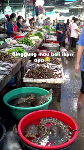masak apa kalian hari ni😁
