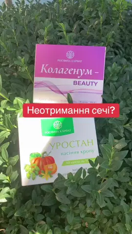 Неотримання сечі?#рослинакарпат #продвижениетикток #нетриманнясечі #підтіканнясечі #енурез