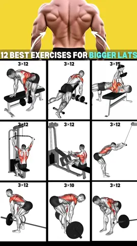 GET BIGGER Arms with this Amazing Triceps Extension workout? #Exercises #workout #yoga #Fitness #triceps #biceps #arms