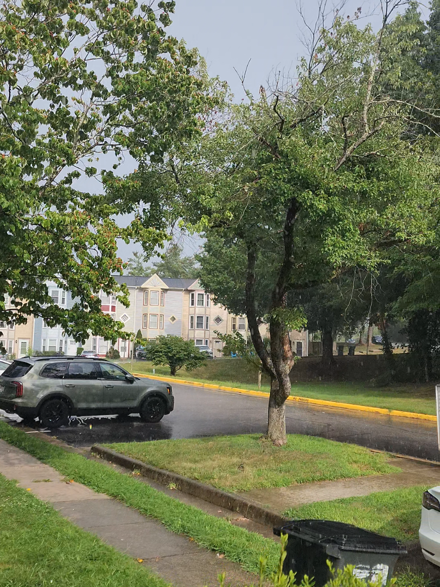 #rain #clearsky #wakilkhanyam #virginiaisforlovers #virginia 