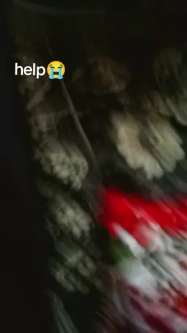 #helpme #helpmeoutplease😭😭😭😭😭😭😭😭😭😭 #hellotiktok #hellotiktok #2025