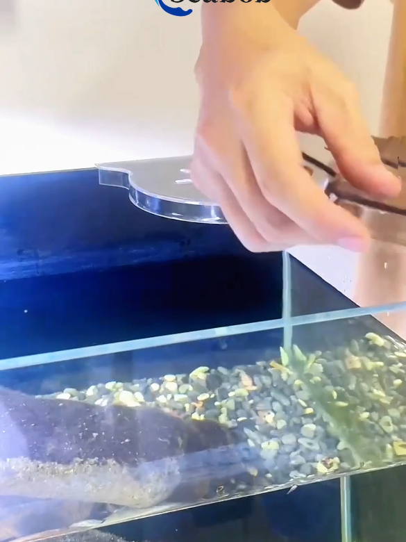 rak filter sudut aquarium