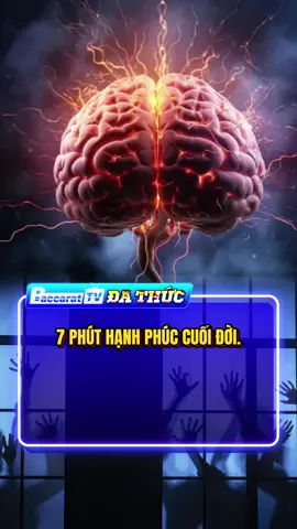 Hạnh phúc vĩnh hằng #namhocmoi #khaigiang #facts #tintuc #xuhuong 