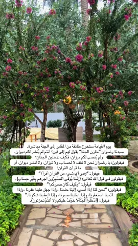 اللهم اجعلنا ممن يدخلون الجنة بغير حساب ولاسابق عذاب يآرب العالمين 🤍#صدقة_جارية_لفقيد_قلبي #explore 