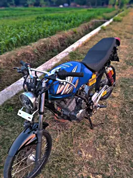 w9😋#majakartans #w9style #tigerw9stayle #tiger2000 #tiger2000w9 