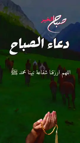 دعاء الصباح #creatorsearchinsights #tik_tok #foryoupage❤️❤️ 