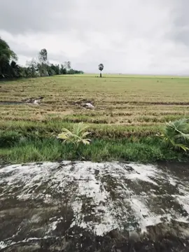 “不要听别人说什么，幸福是你自己的” 我喜欢的东西美不美，我为什么要问别人呢 
