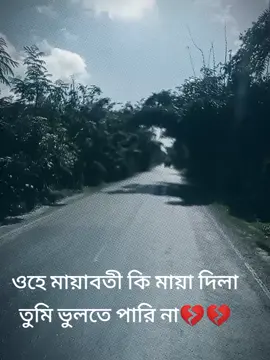 #CapCut 