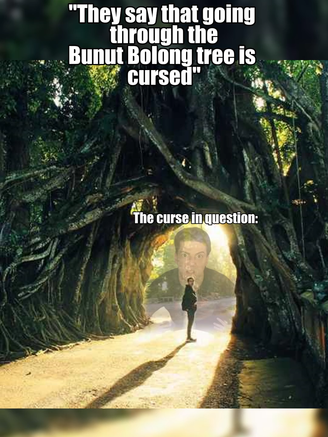 So turns out there's tree in Bali called Bunut Bolong where people died in contructing that hole for people to go through. Thus, it's said that if you enter through as a couple or someone who's not engaged yet, you'd be cursed with no kids or end up as divorce. yikes #uncoverbali #balimemes #uncoverjembrana #uncoverbunutbolong