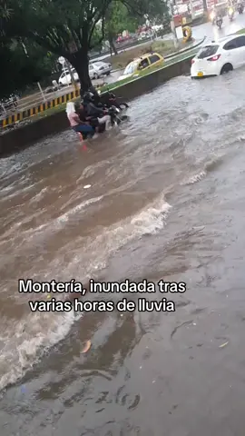 Montería, inundada tras varias horas de lluvia Las  intensas lluvias registradas en la tarde de este domingo 7 de Septiembre dejaron varias calles de Montería completamente anegadas.  Sectores residenciales y vías principales quedaron bajo el agua, generando dificultades en la movilidad y afectaciones en algunos hogares.Ciudadanos reportaron que el colapso del sistema de alcantarillado contribuyó al rápido aumento de los niveles de agua, mientras que las autoridades locales evalúan la magnitud de los daños y las posibles medidas de atención. De momento no se registran víctimas, aunque organismos de socorro mantienen la alerta ante nuevas precipitaciones. #Montería #Lluvias #Inundaciones #Clima #Córdoba